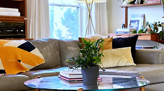 Modern interior design living room.