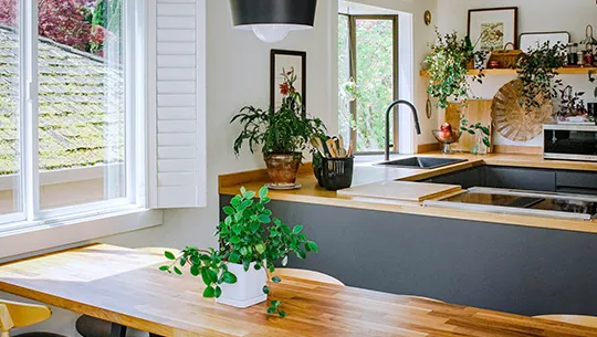 Kitchen with greenery and natural wood decoration.