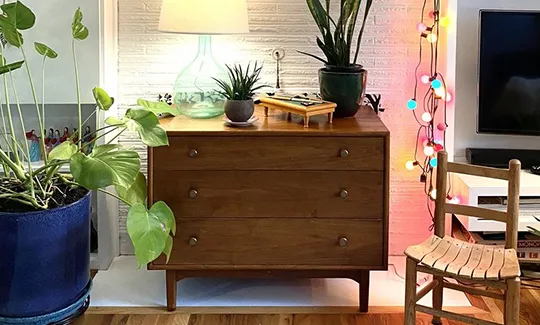 Stylish interior design featuring wooden dresser and decorative plants.