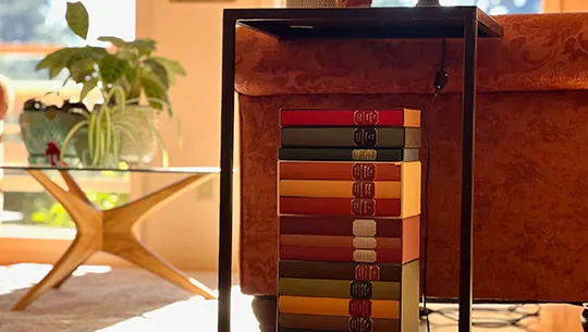 Modern home interior design with colorful books.