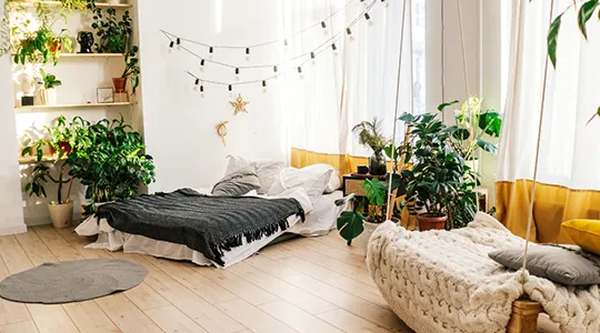 Renovated room filled with plants and a bed.