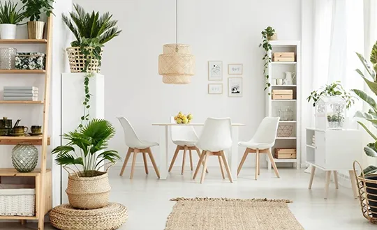 Dining room with beautiful home decoration and plants.