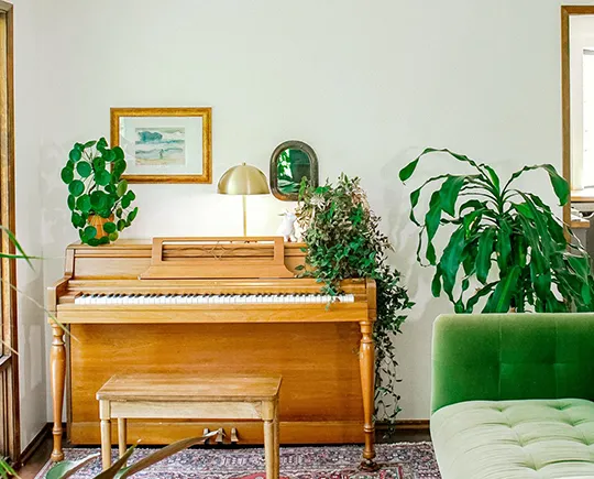 Living room with piano, plants and elegant home design.