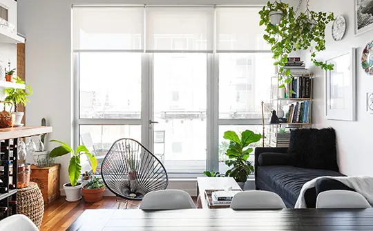 Decorated interior room with lots of plants and sunlight.