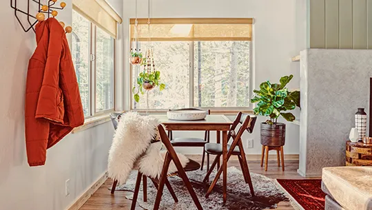 Dining room with plants, sunlight, and nice furniture.
