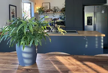 Kitchen Interior Design